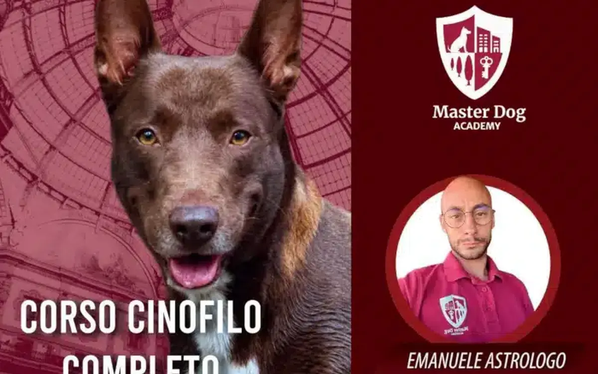 Corso Cinofilo Completo – Master Dog