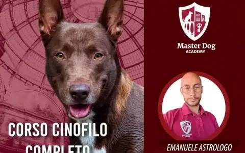 Corso Cinofilo Completo – Master Dog