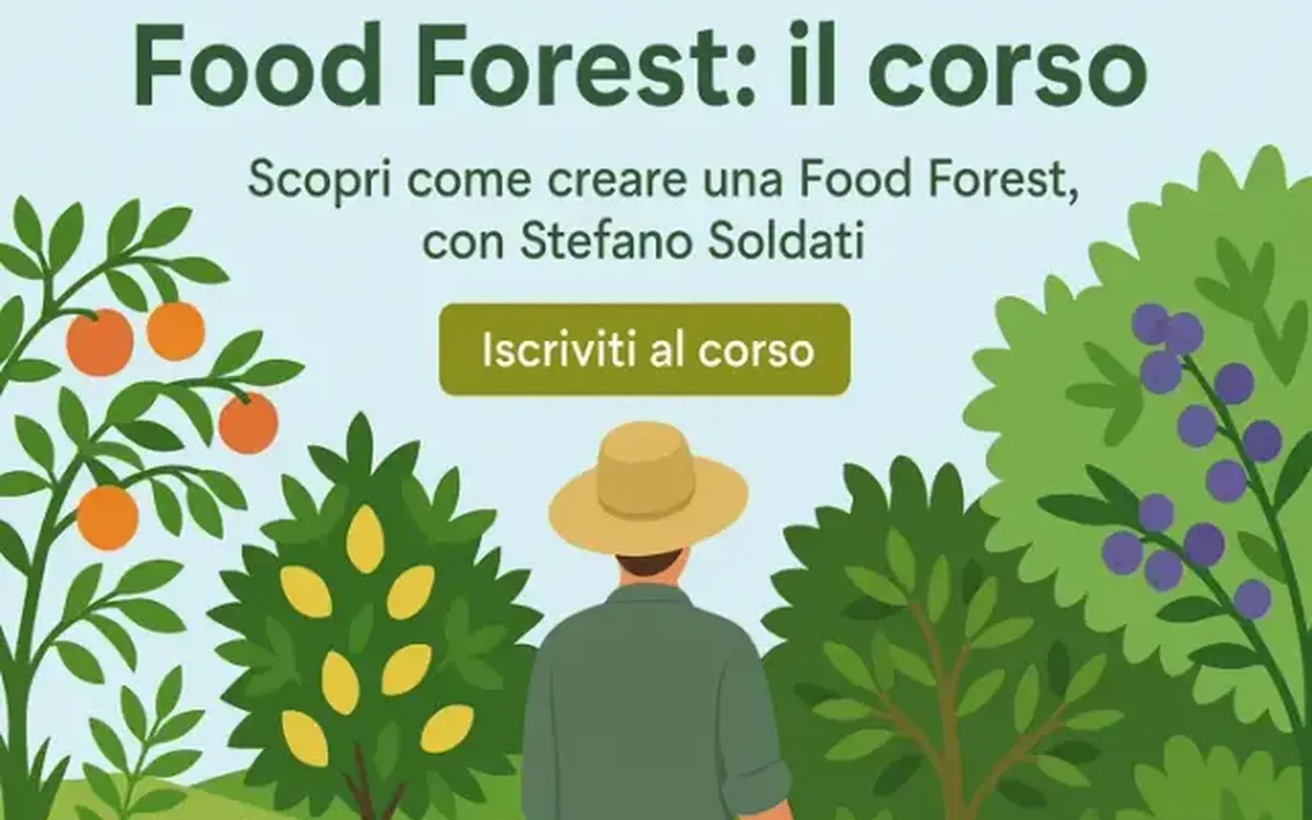 Food Forest – Bosco di Ogigia