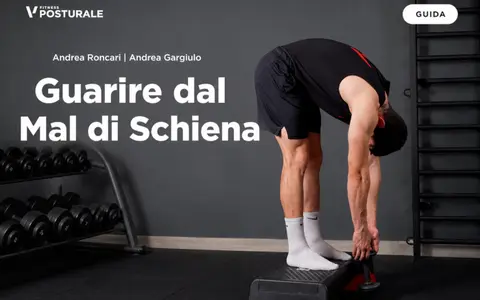Guarire dal Mal di Schiena – Project InVictus