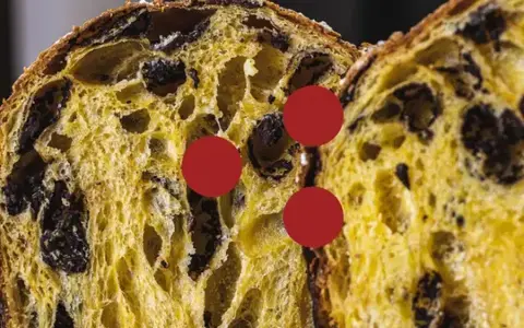 Il Panettone e la Colomba – Fudemy