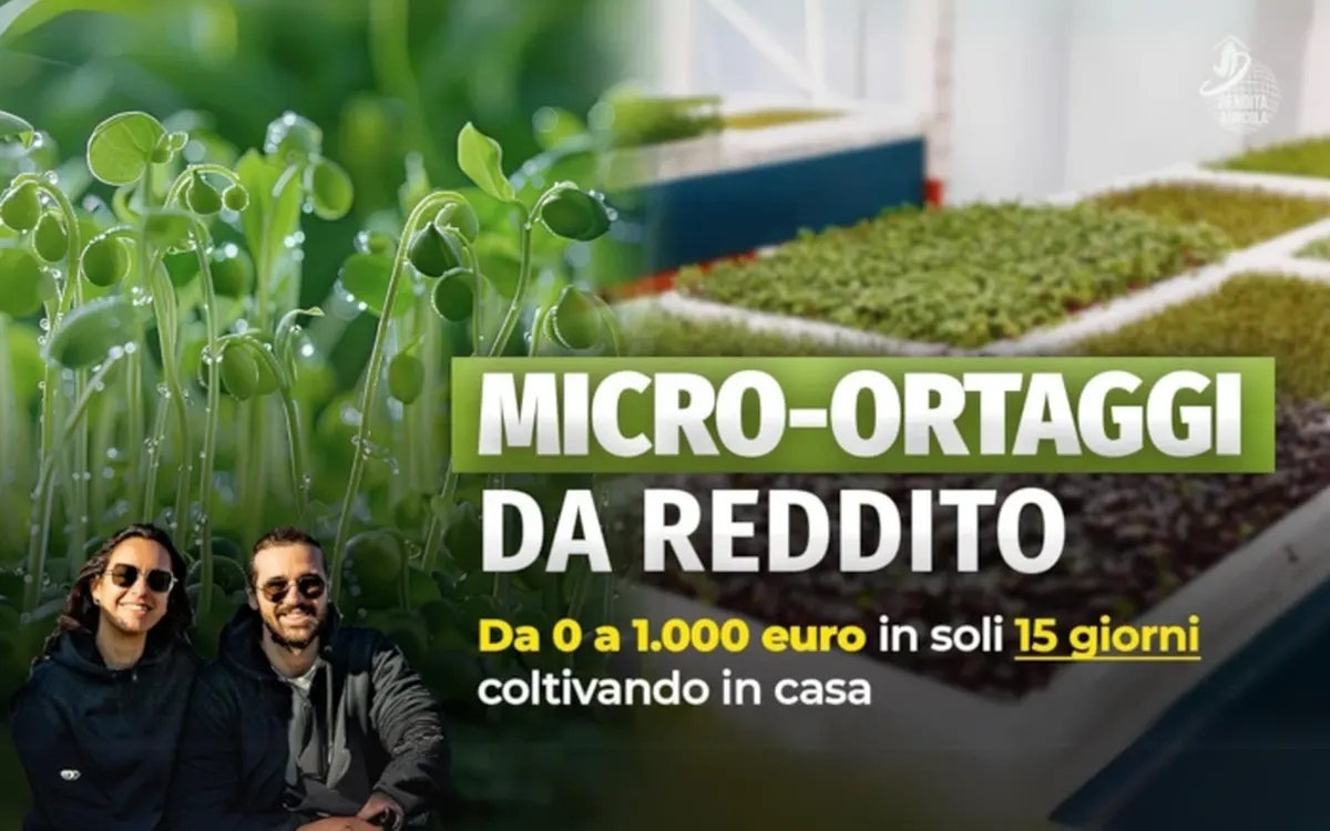 Micro-Ortaggi da Reddito – Rendita Agricola