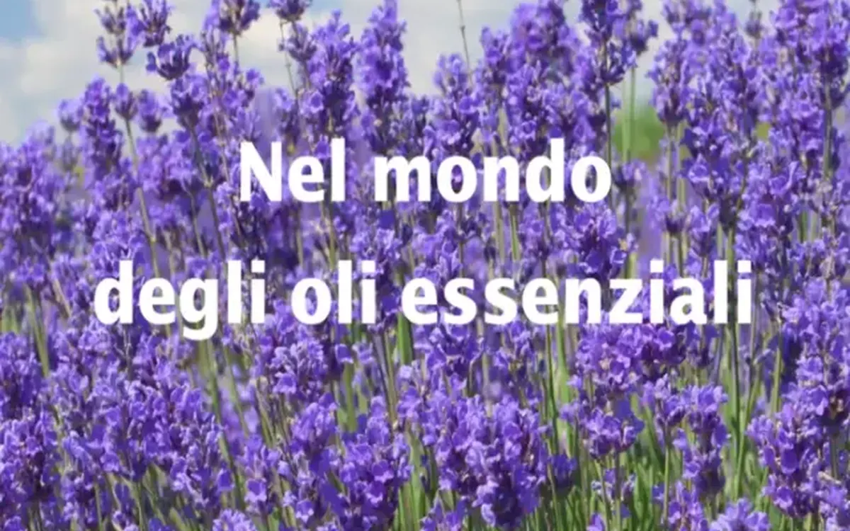 Nel mondo degli oli essenziali – Bosco di Ogigia