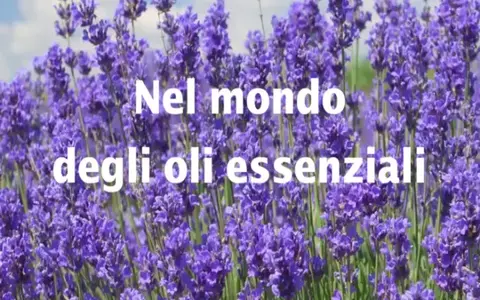 Nel mondo degli oli essenziali – Bosco di Ogigia