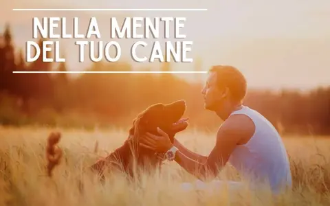 Nella Mente del tuo Cane – Educazione Cinofila