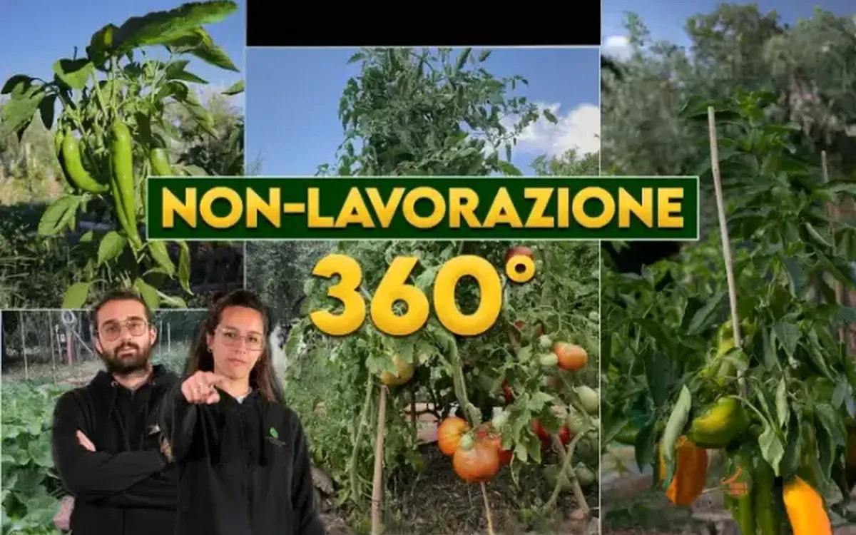 Orto Eterno: Non Lavorazione 360° – Rendita Agricola