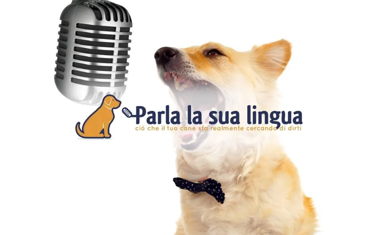 Parla la sua lingua – Fantasticane