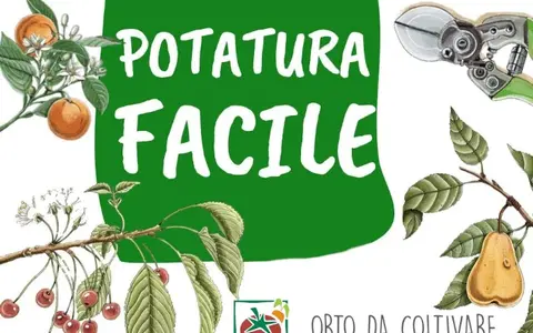 Potatura Facile – Orto da Coltivare