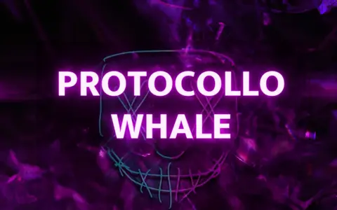 Protocollo Whale – Whalecot (Michele Cotti)