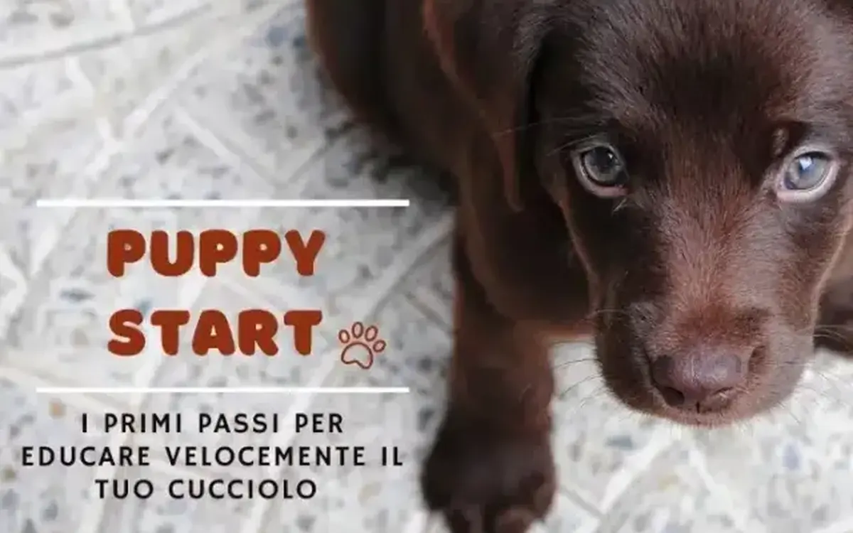 Puppy Start – Educazione Cinofila