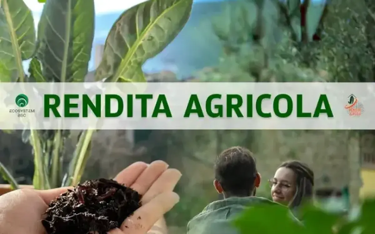 Rendita Agricola – Ecosystem BSC