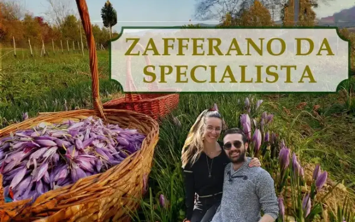 Zafferano Da Specialista – Rendita Agricola
